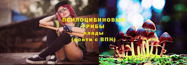 соль ск Белокуриха