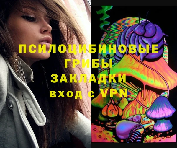 соль ск Белокуриха