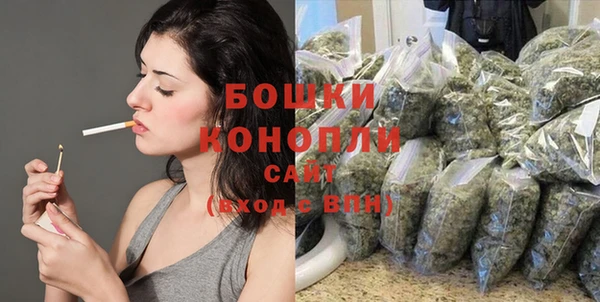 соль ск Белокуриха