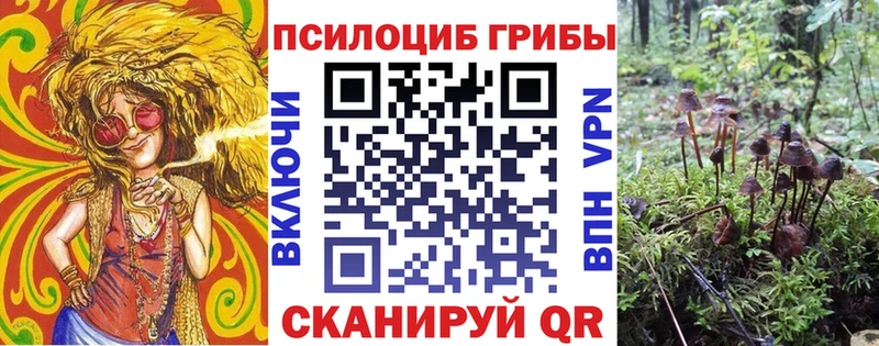 Псилоцибиновые грибы мицелий  Шарья 