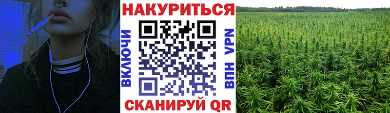 Канабис гибрид  купить наркотик  Шарья 